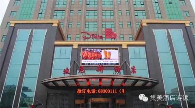 小熊回家│讓每一份愛都沒有缺憾