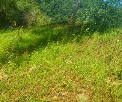 柳關(guān)欒盧鉛鋅礦|治理排土“瘡疤”，繪就綠色畫(huà)卷